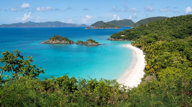 Trunk Bay