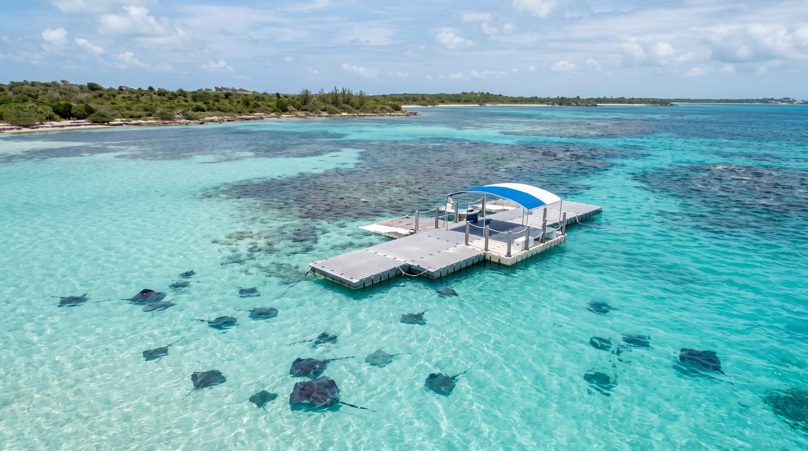 Stingray City Antigua