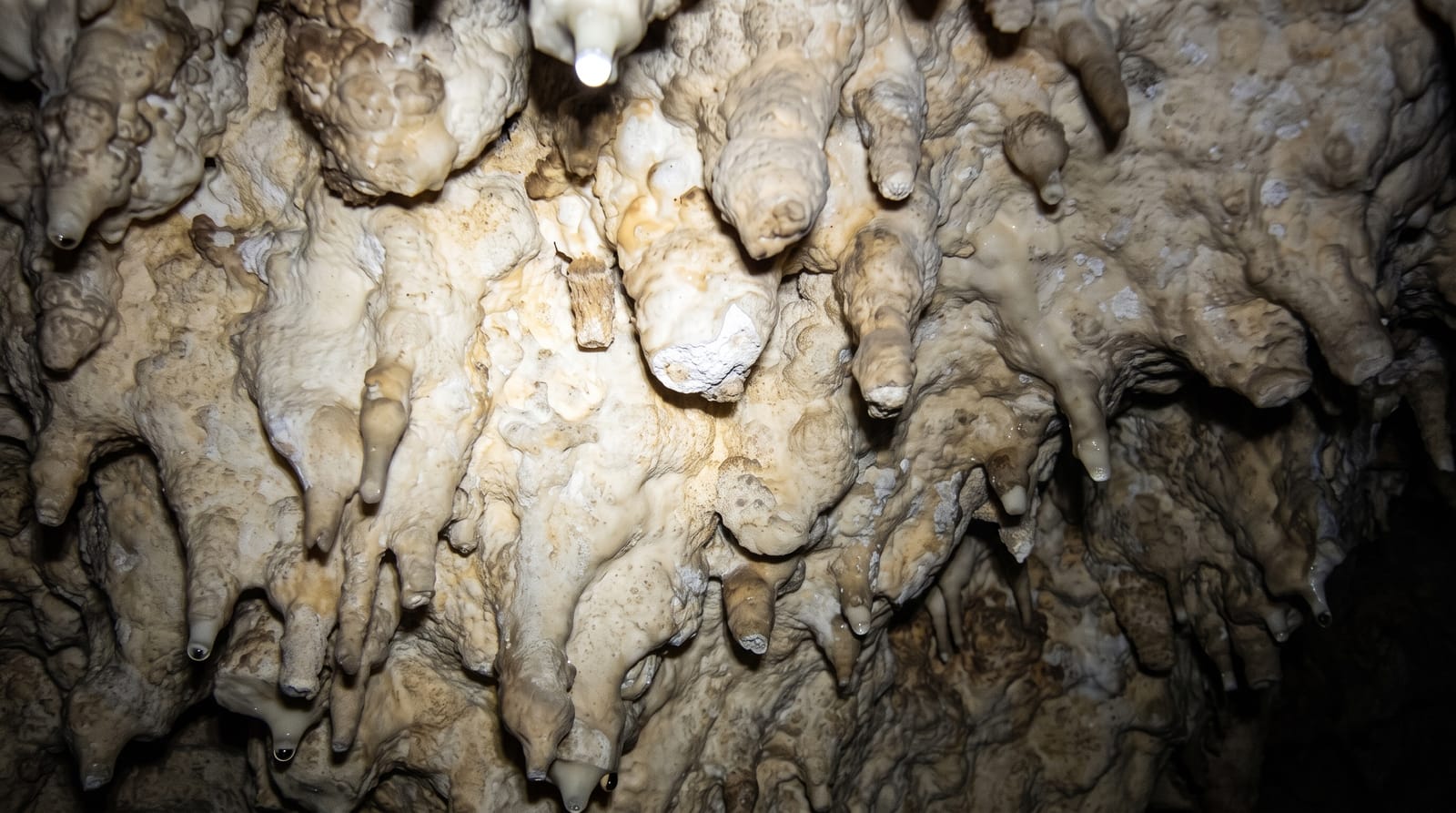 Caverna de las Brujas