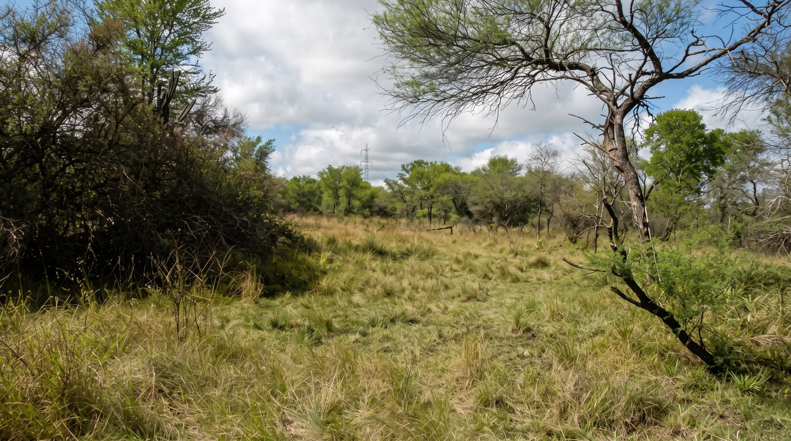 Chaco National Park