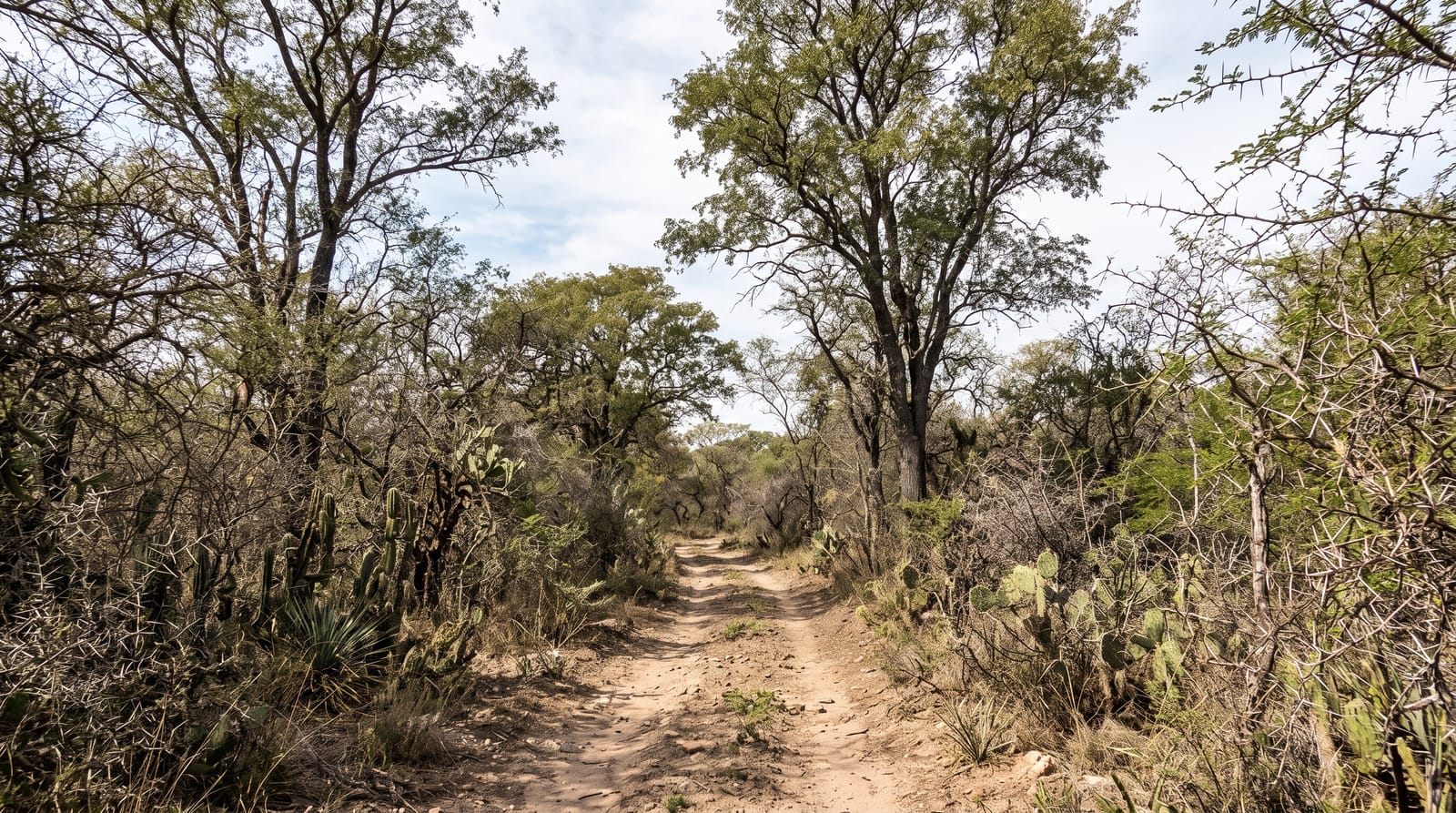 Copo National Park