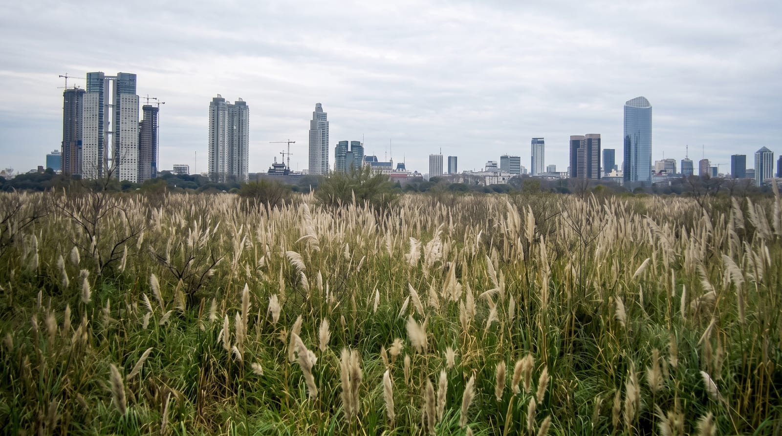 Costanera Sur Ecological Reserve