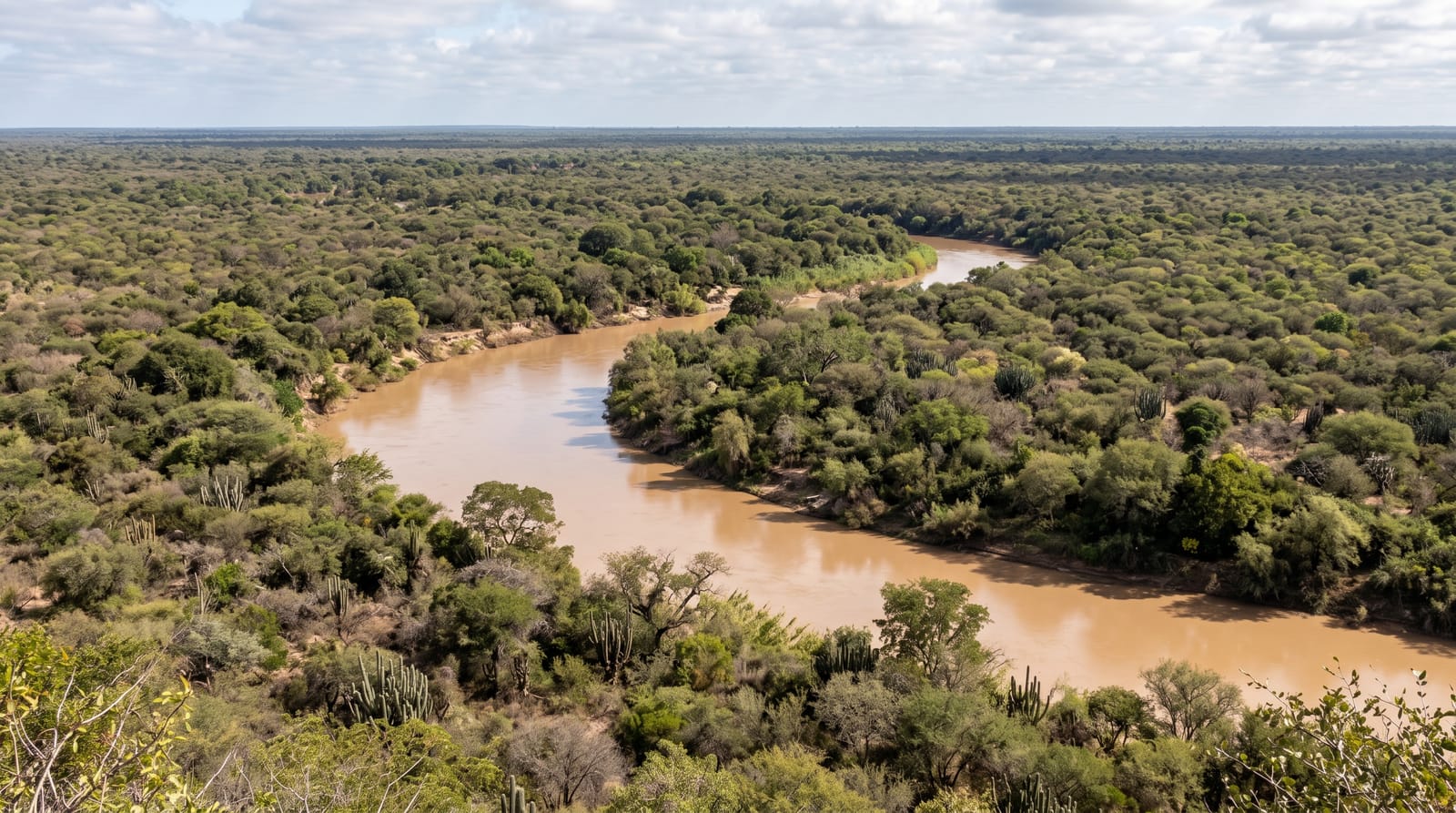 El Impenetrable National Park