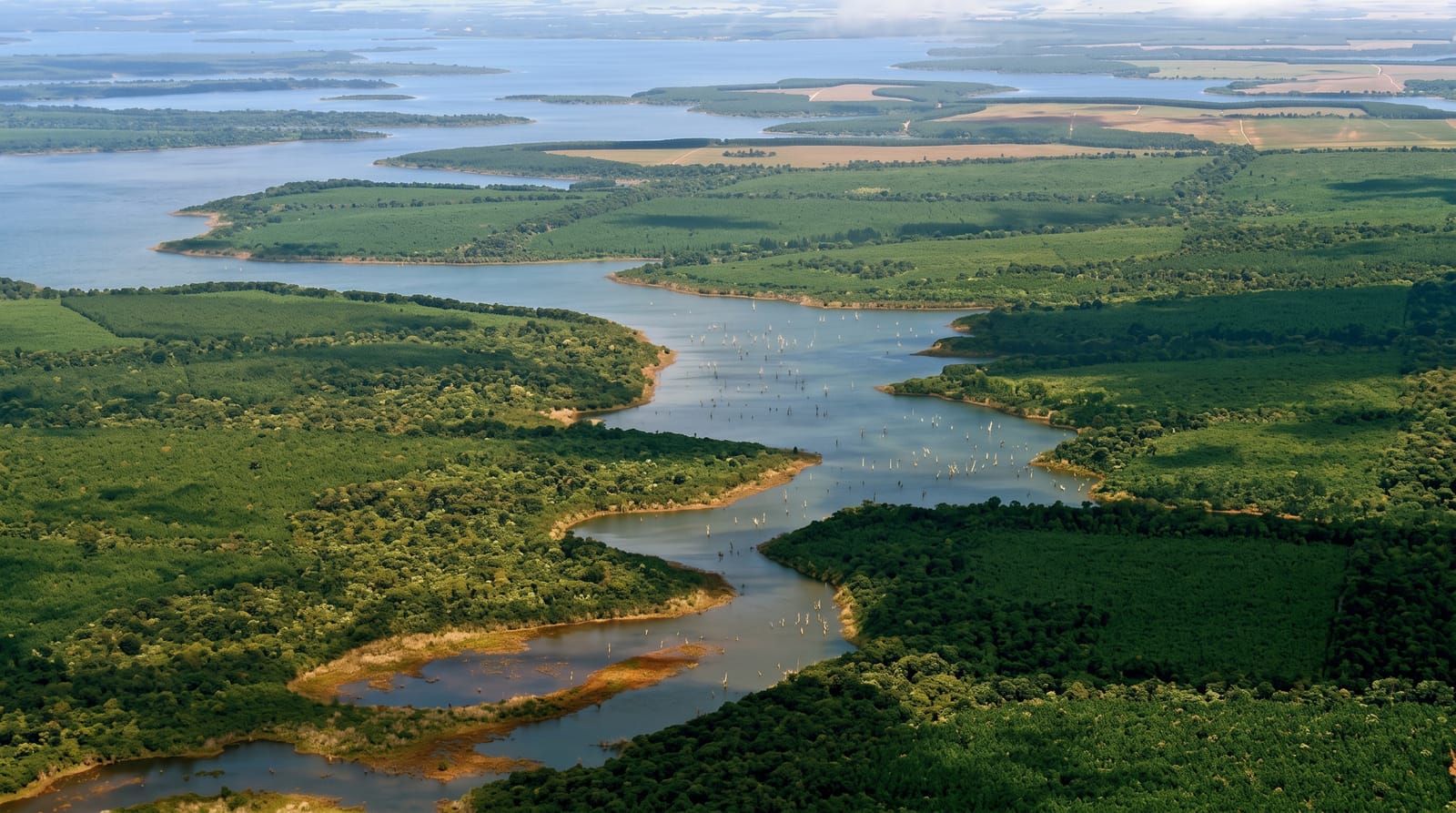 Esteros del Iberá