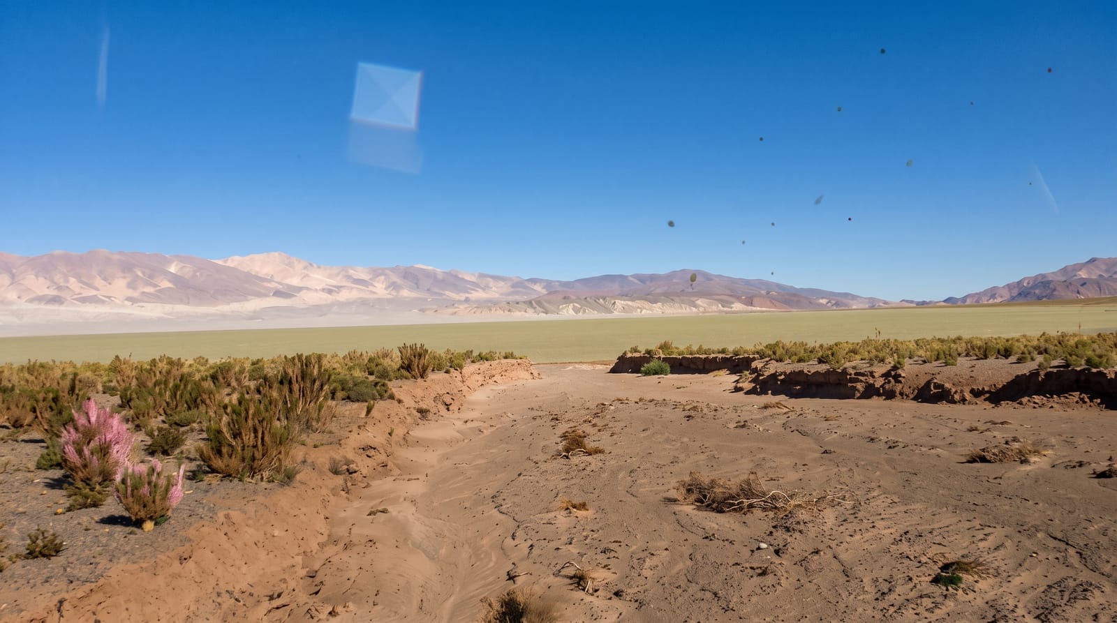 Laguna Blanca Reserve