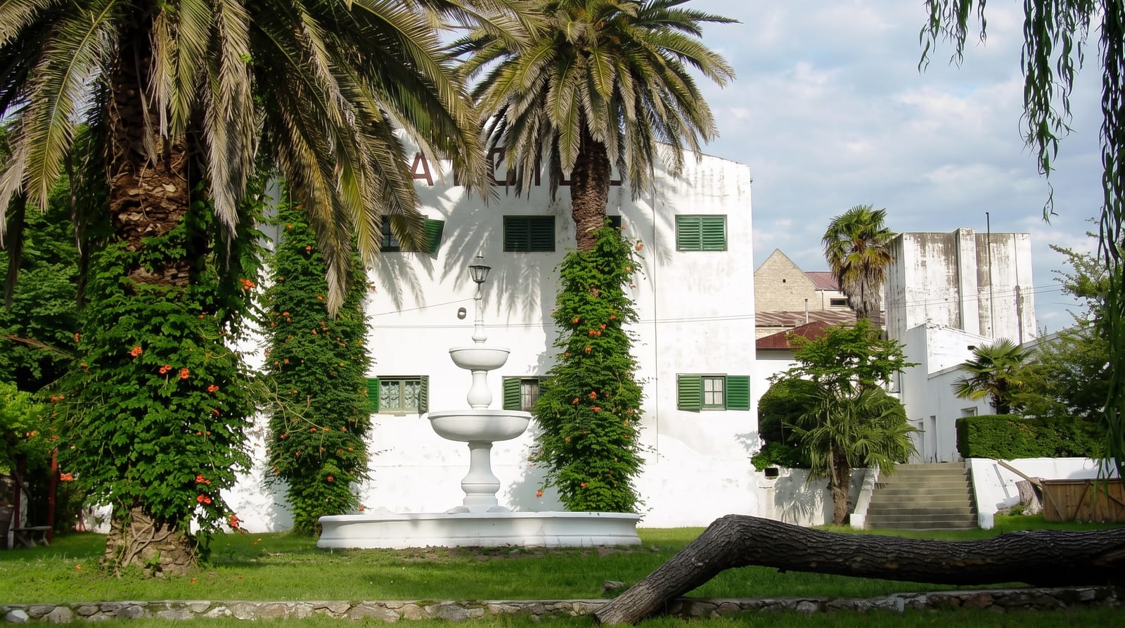 Mina Clavero