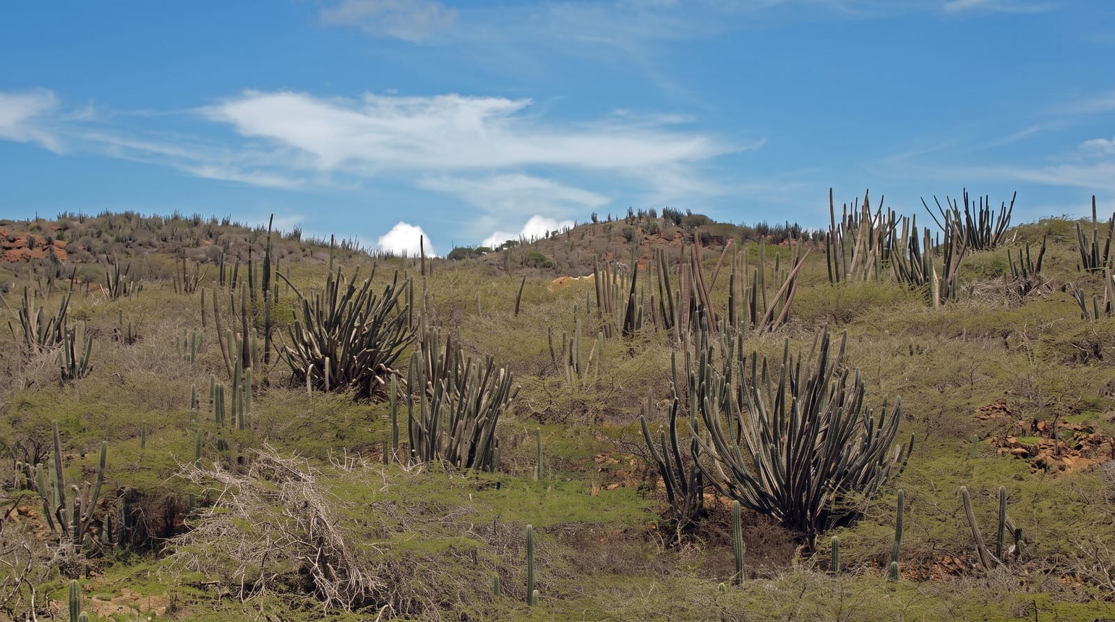 Arikok National Park