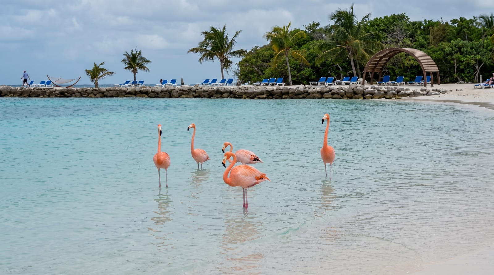 Renaissance Island