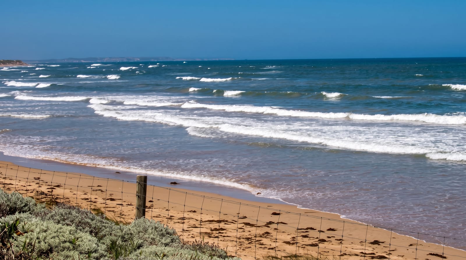 Australian Surf Culture