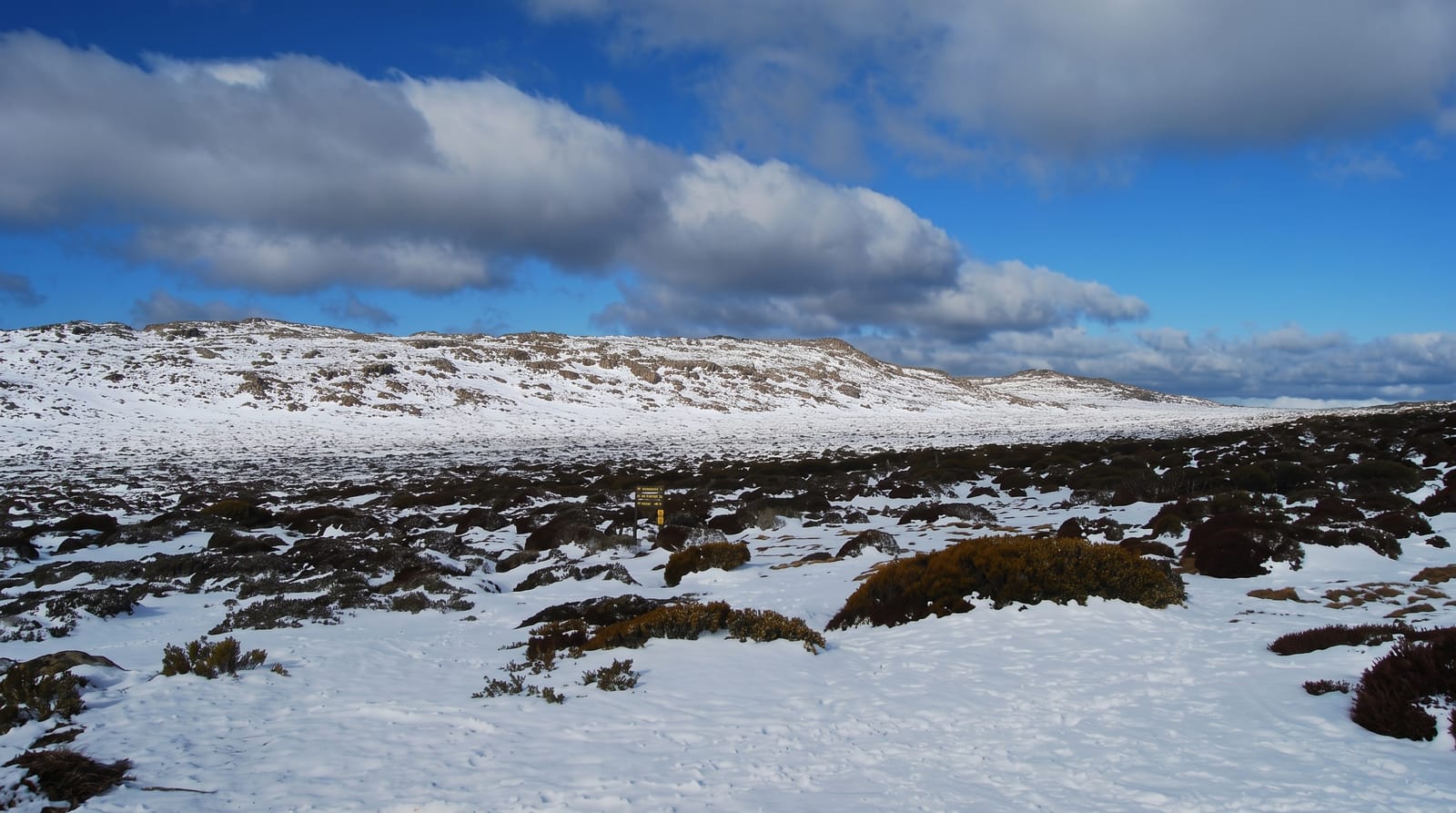 Ben Lomond National Park