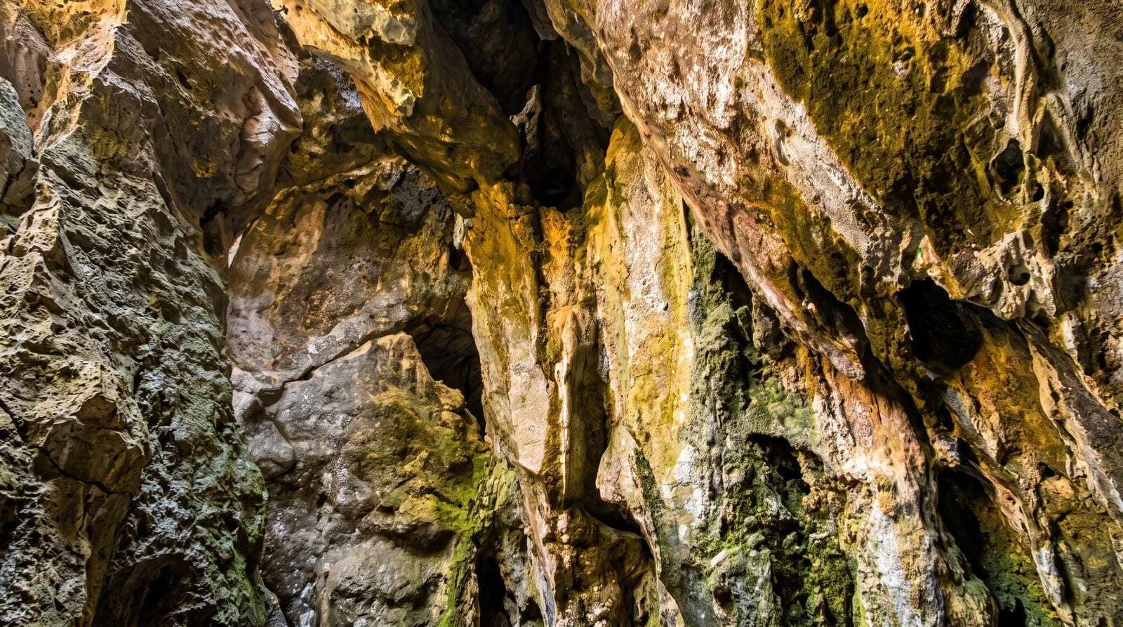 Capricorn Caves