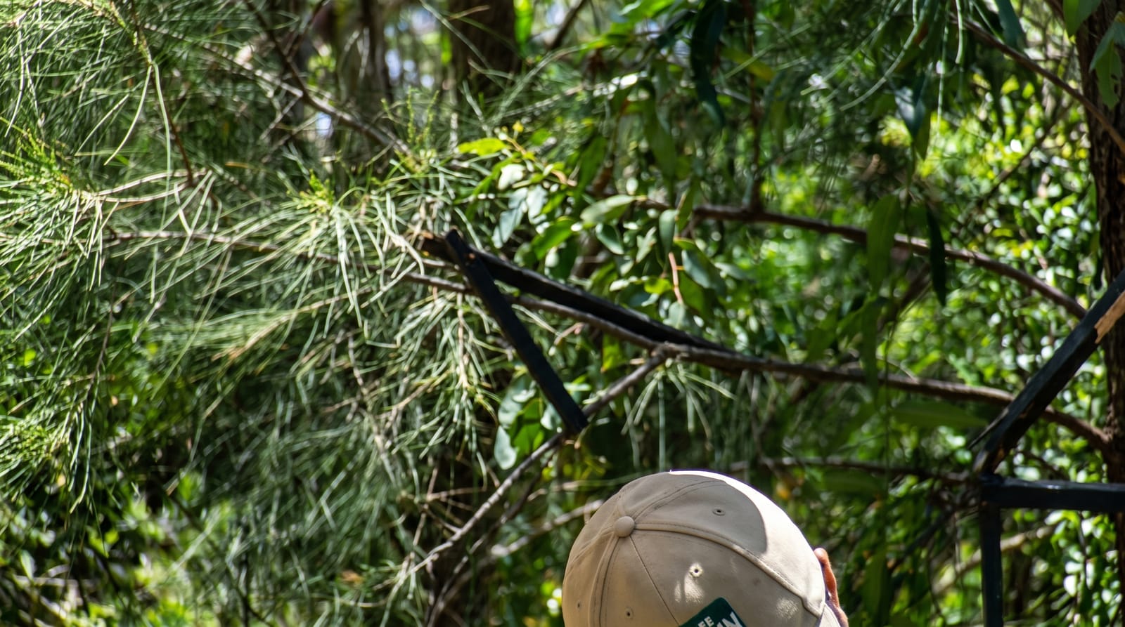 Currumbin Wildlife Sanctuary