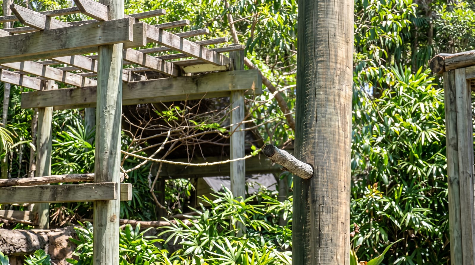 Currumbin Wildlife Sanctuary