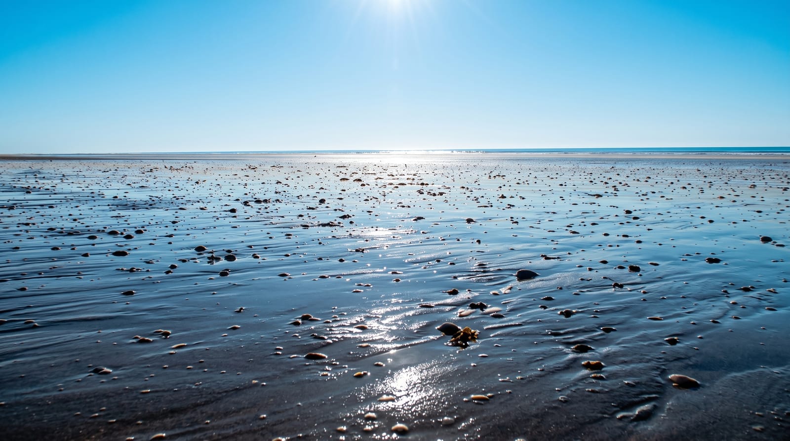Eighty Mile Beach