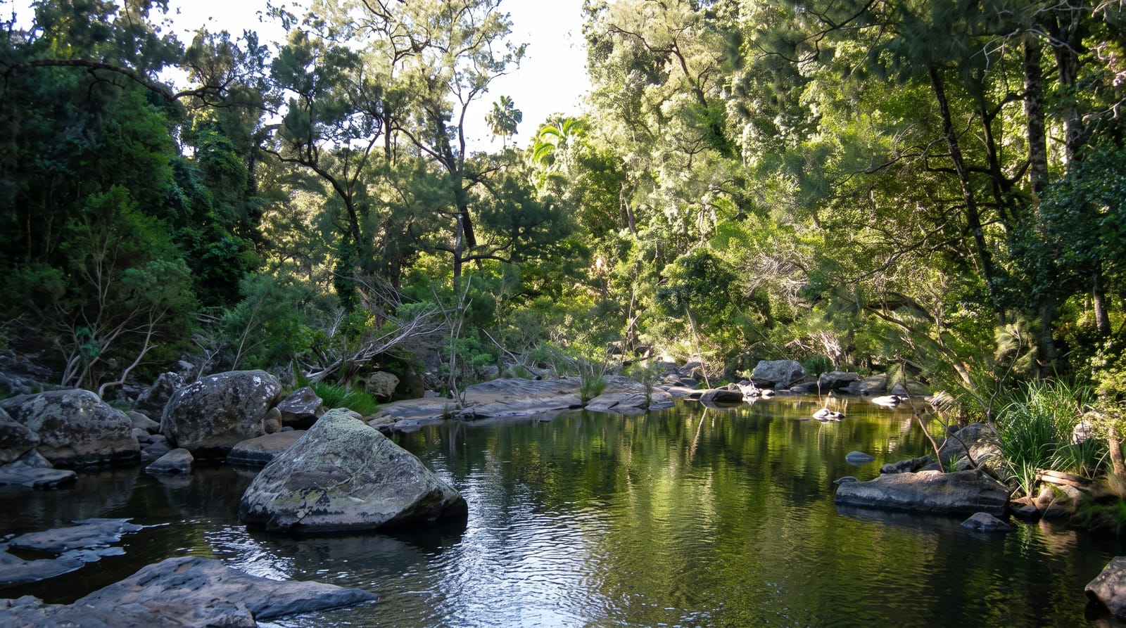 Eungella National Park