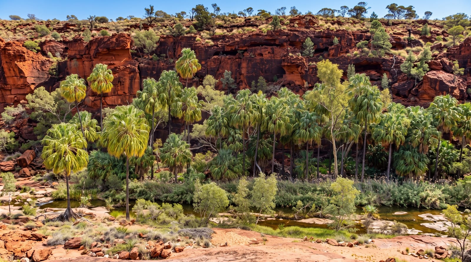 Finke Gorge National Park