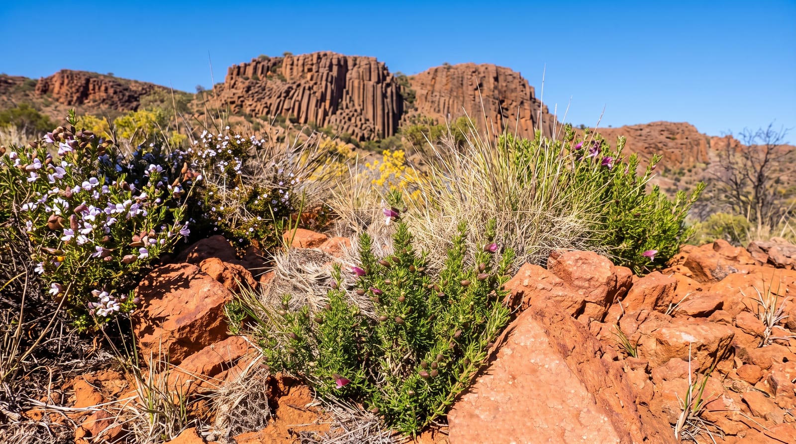 Gawler Ranges National Park