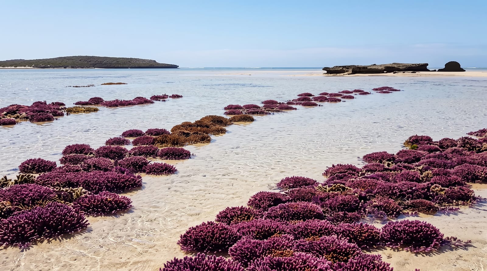 Houtman Abrolhos Islands