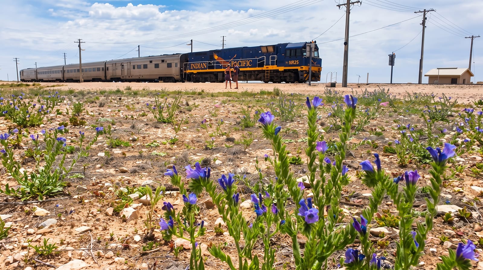 Indian Pacific
