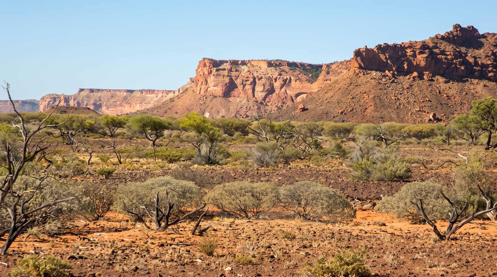 Kennedy Range National Park