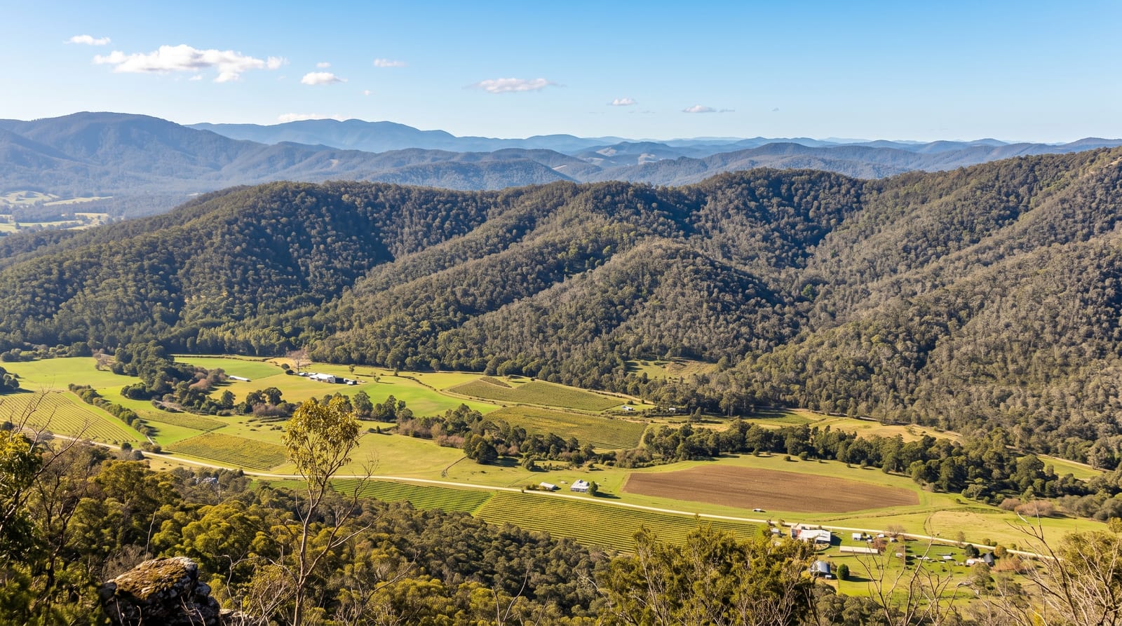 King Valley