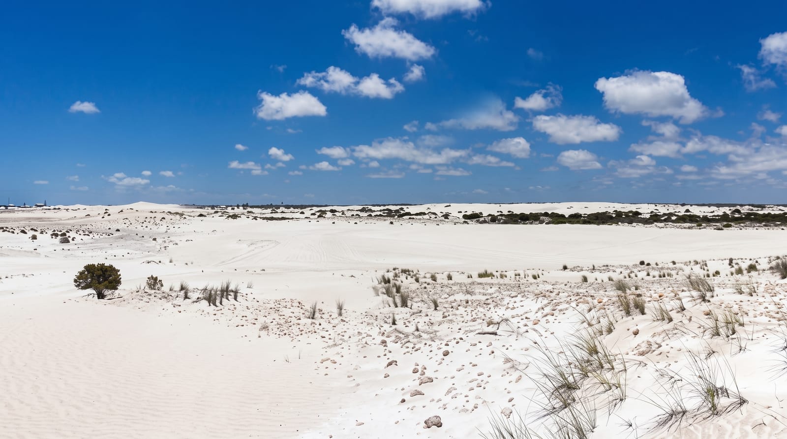 Lancelin Sand Dunes