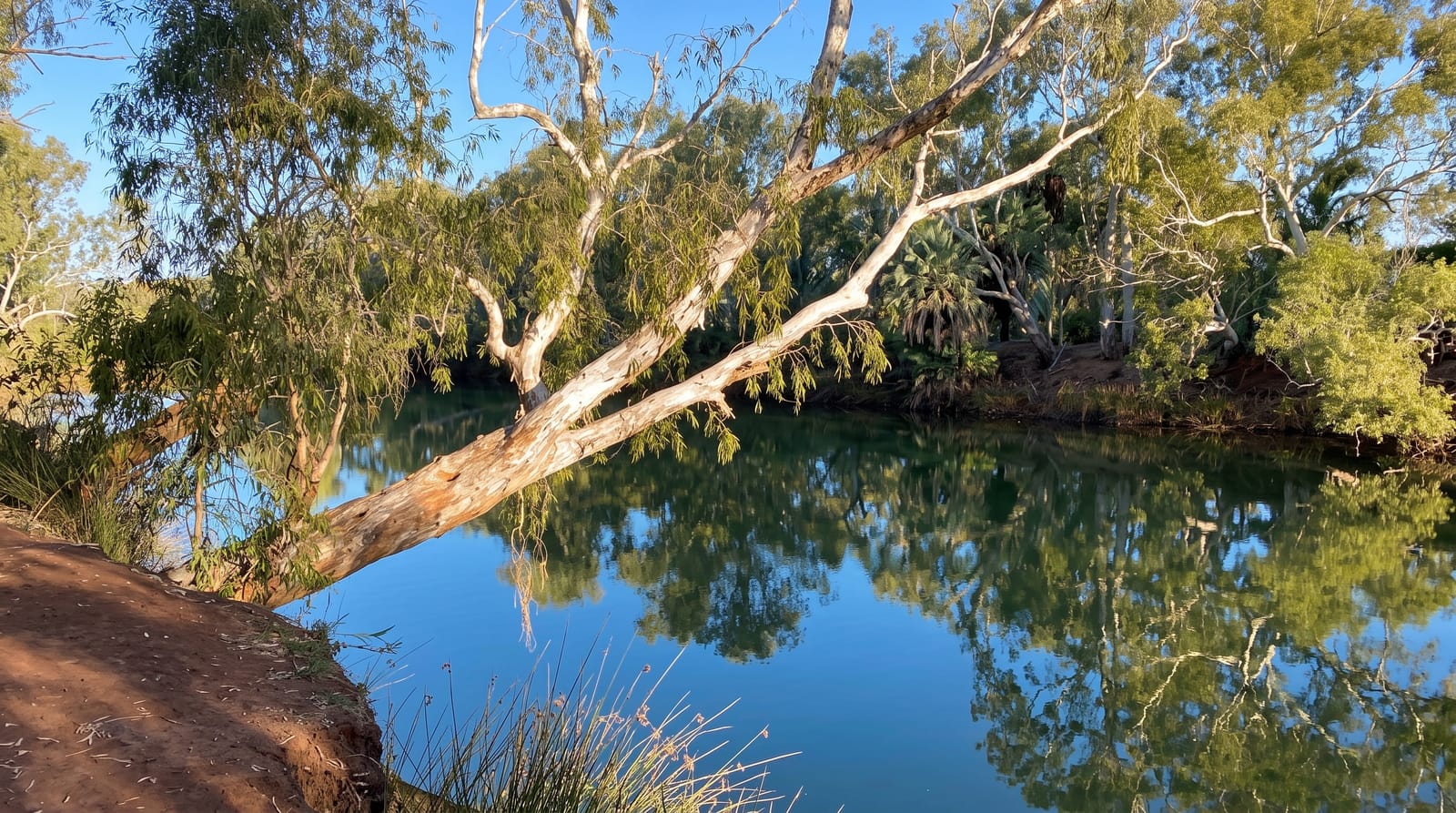 Millstream Chichester National Park