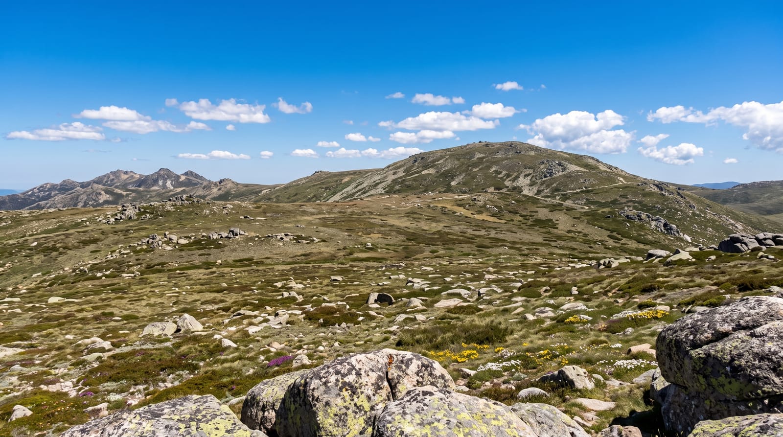 Mount Kosciuszko