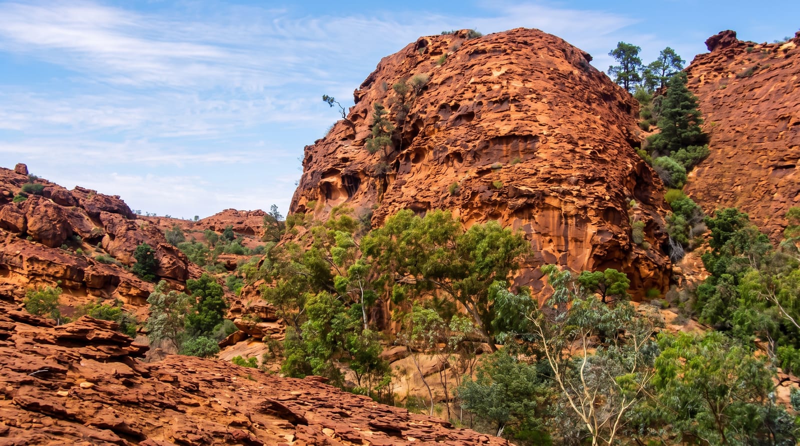 Mutawintji National Park