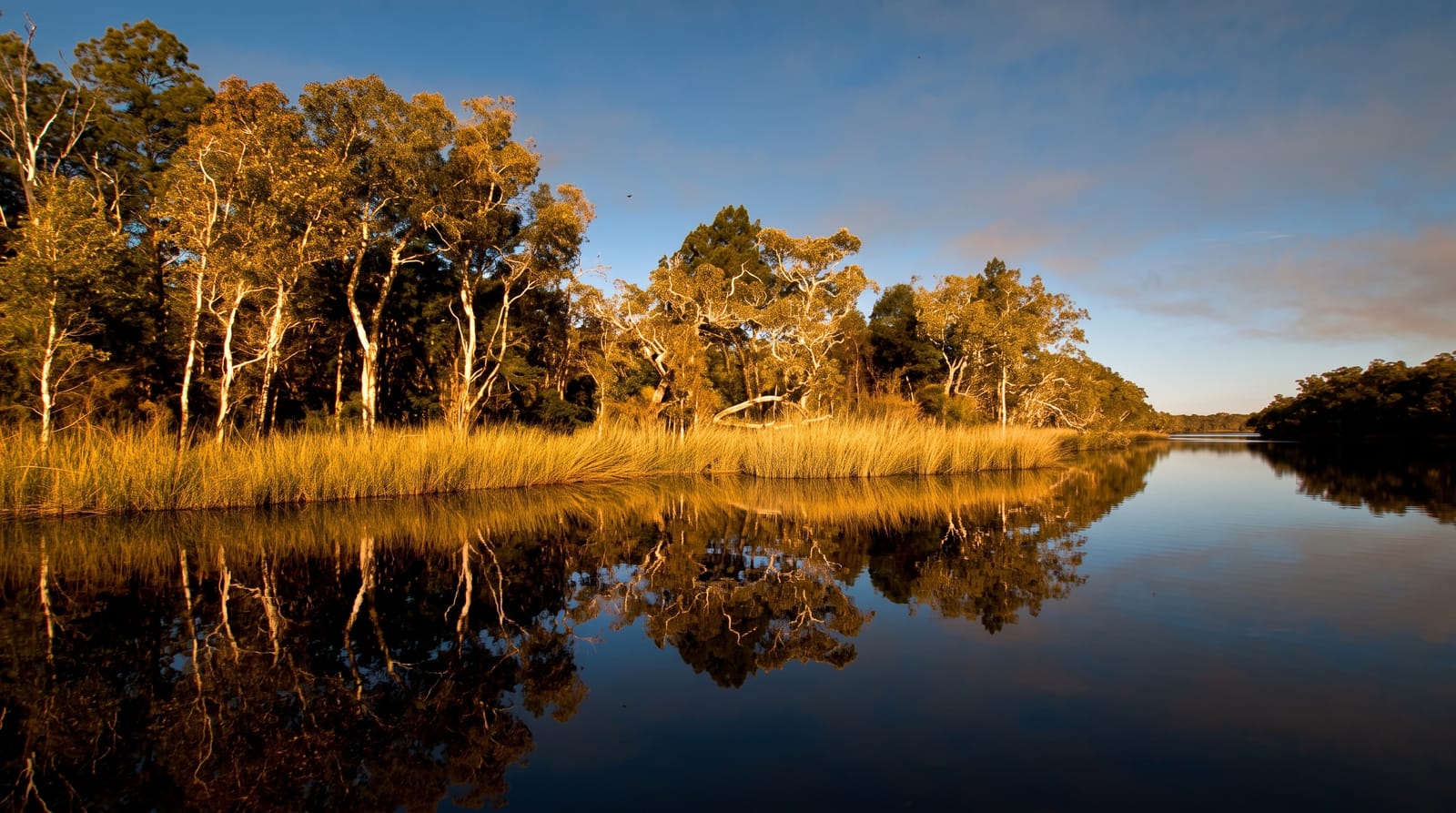Noosa Everglades