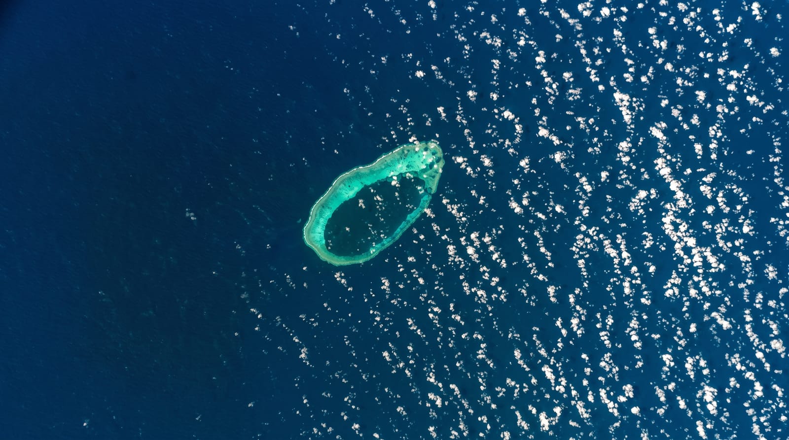 Rowley Shoals