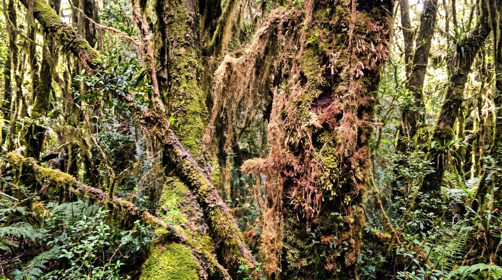 Strahan and the Gordon River