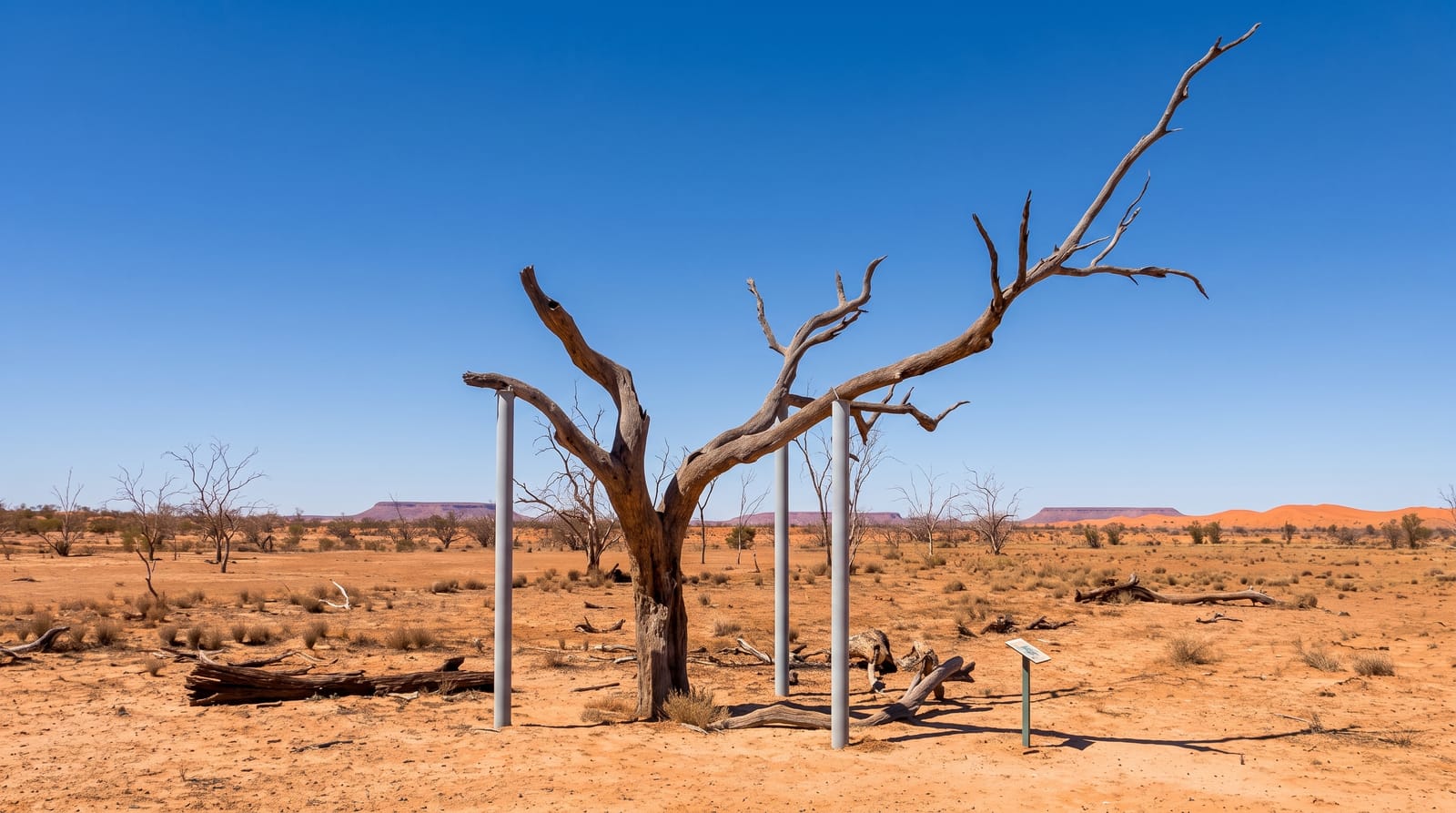 Sturt National Park