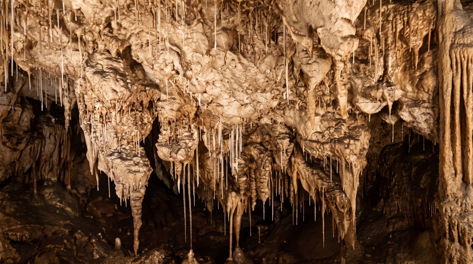 Yarrangobilly Caves