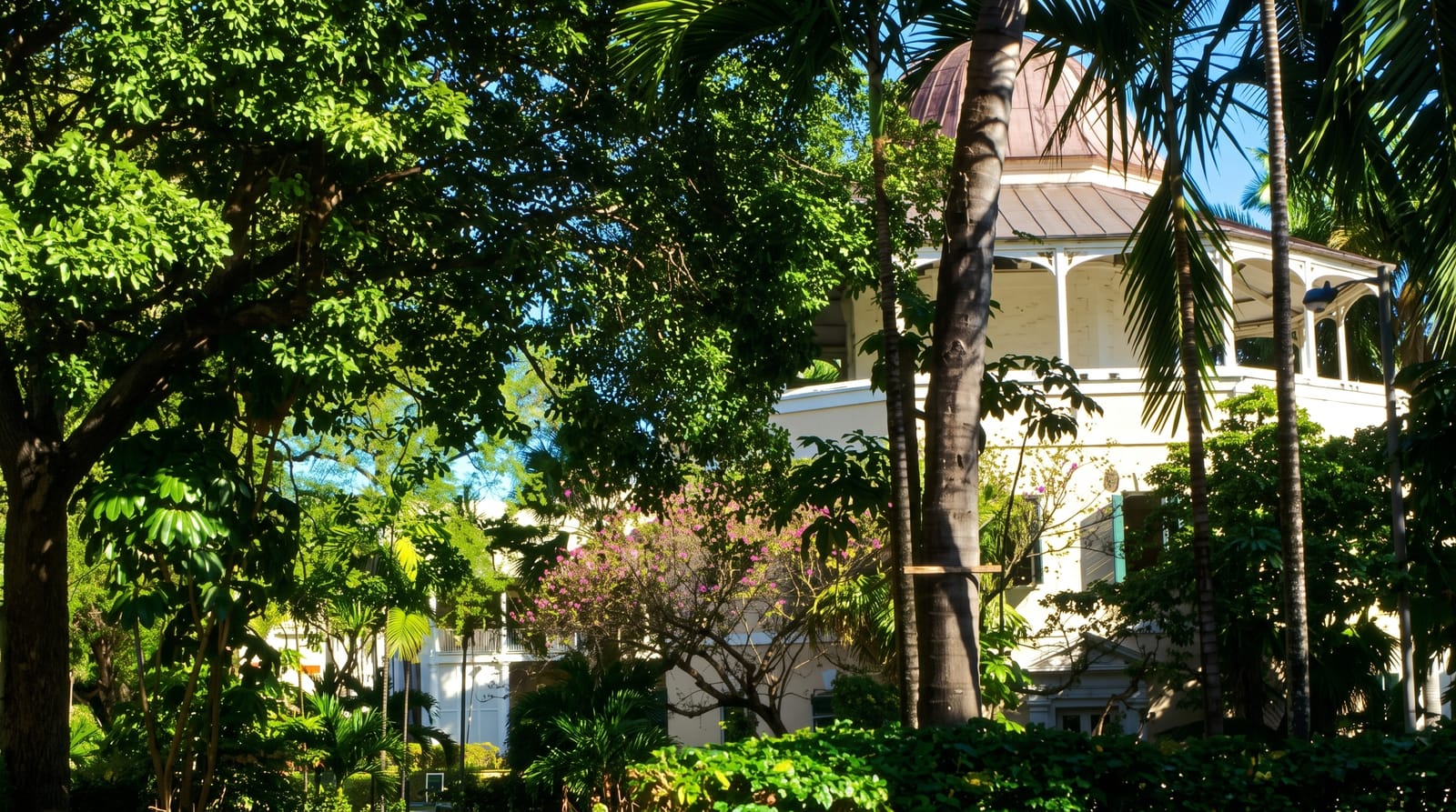 The Nassau Public Library