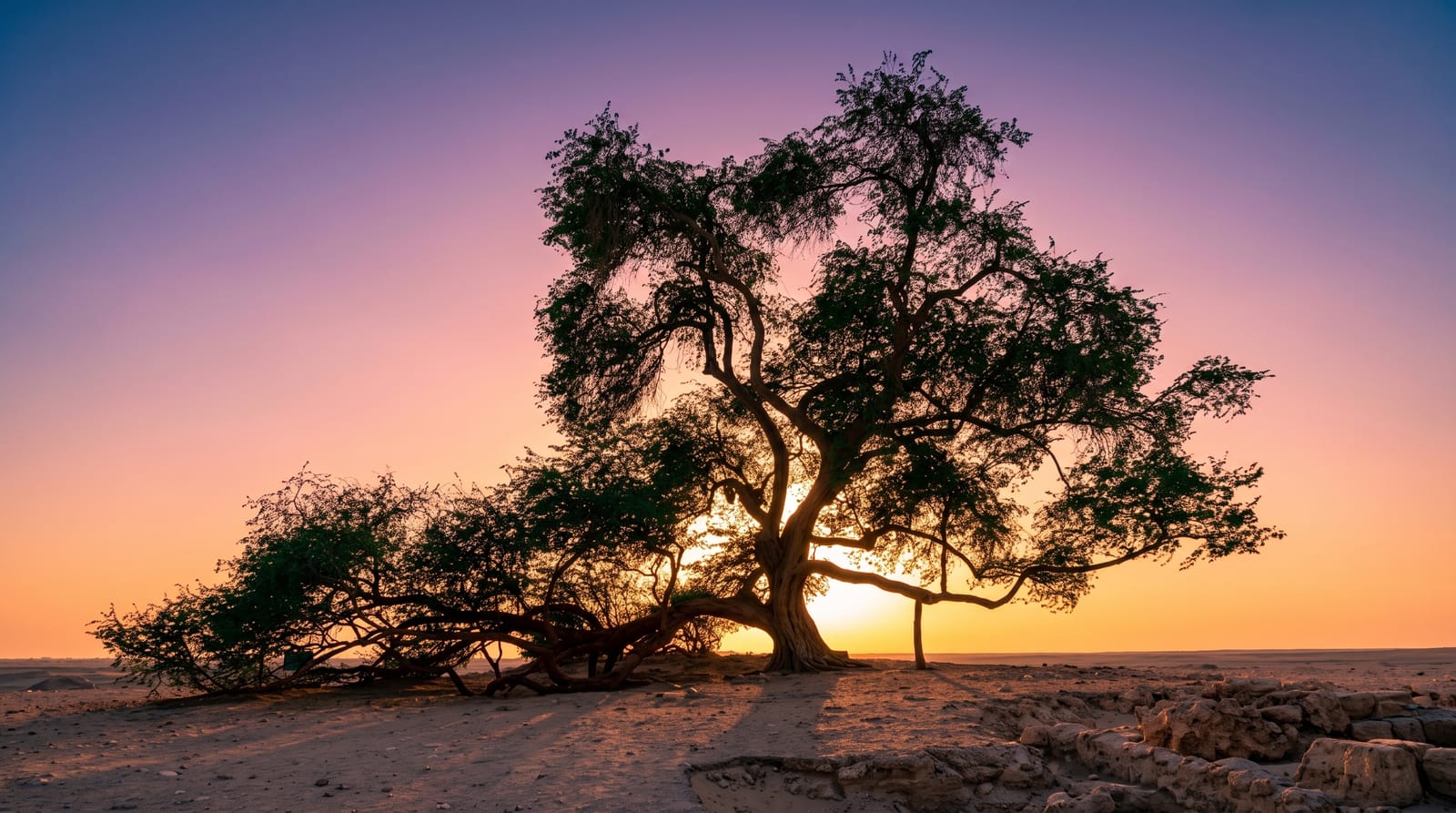 The Tree of Life