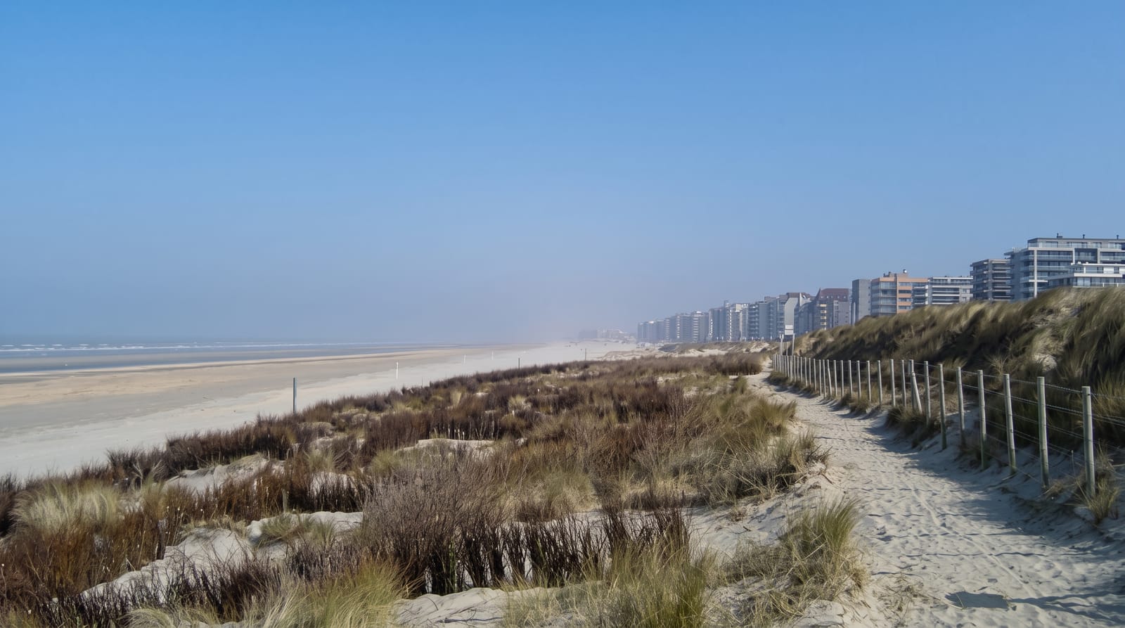 The Belgian Coast