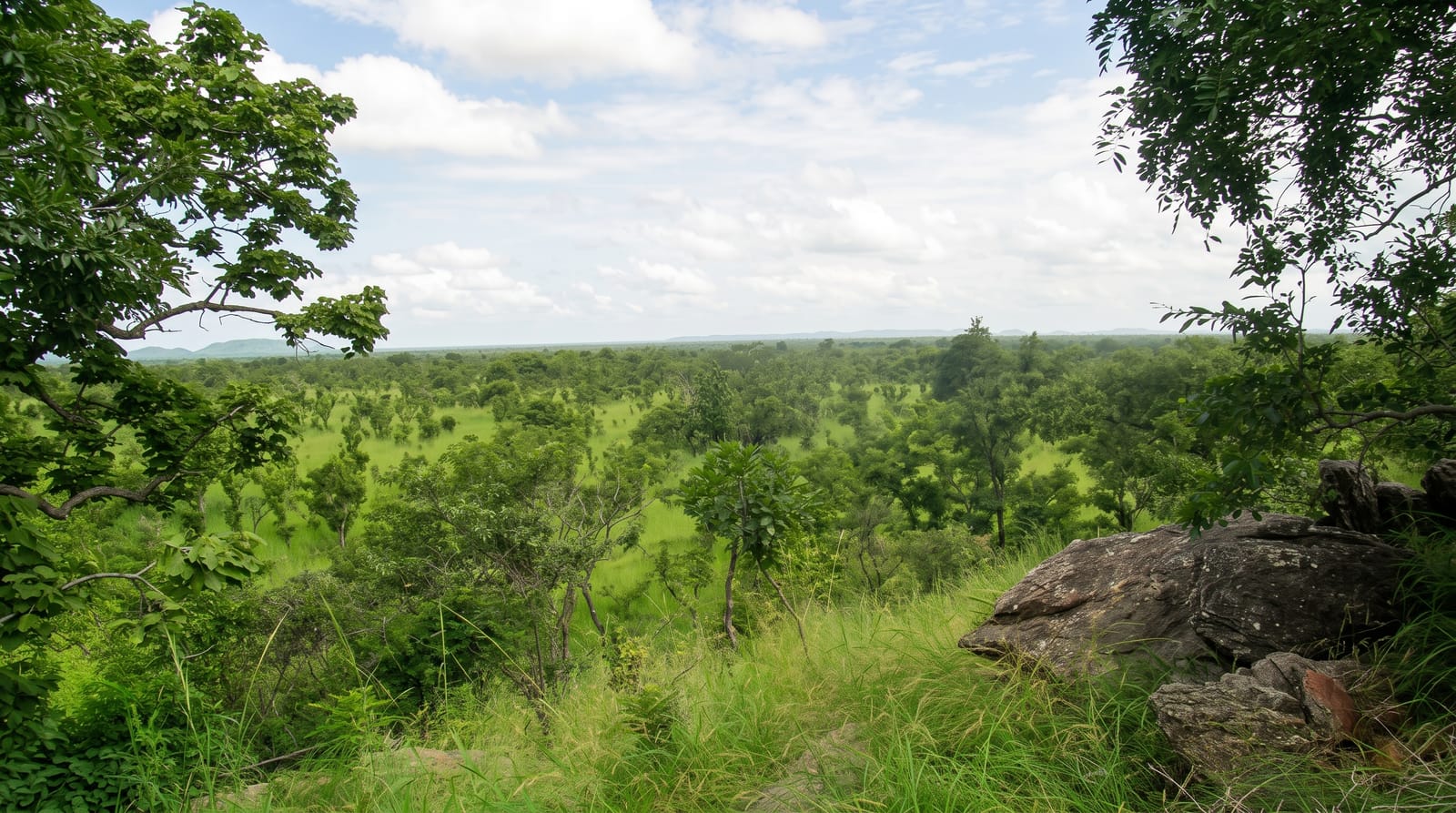 Pendjari National Park