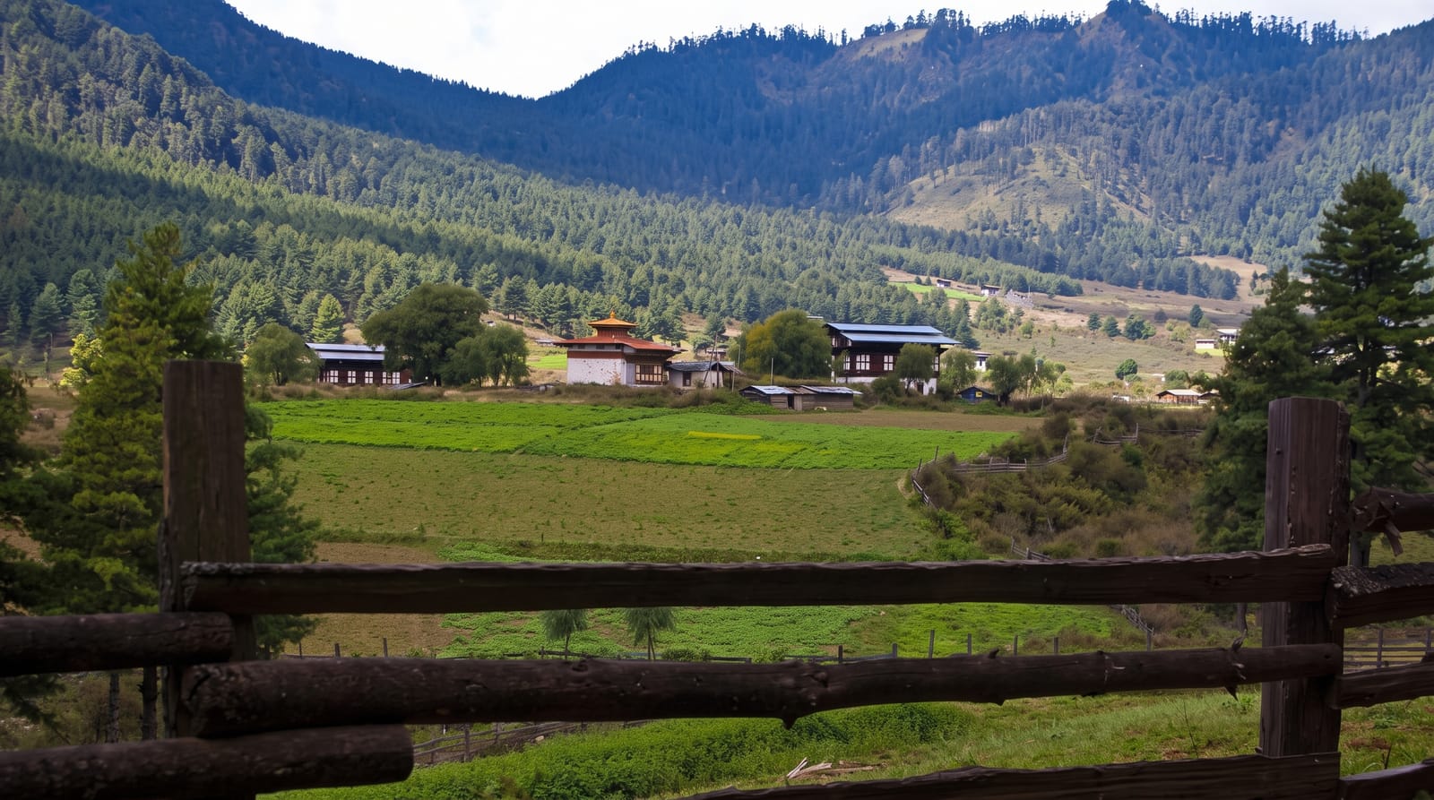 Phobjikha Valley