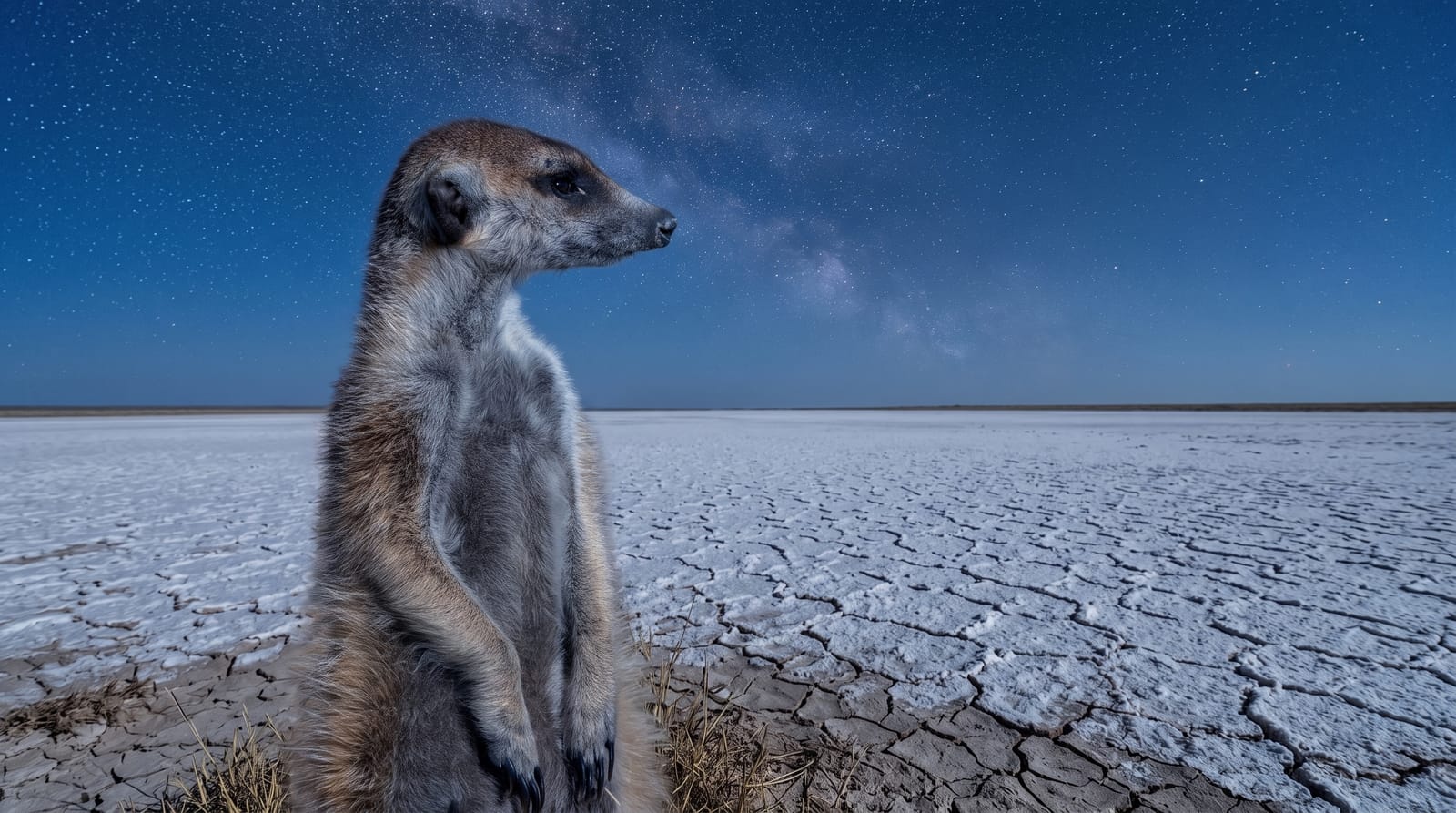 The Makgadikgadi Pans