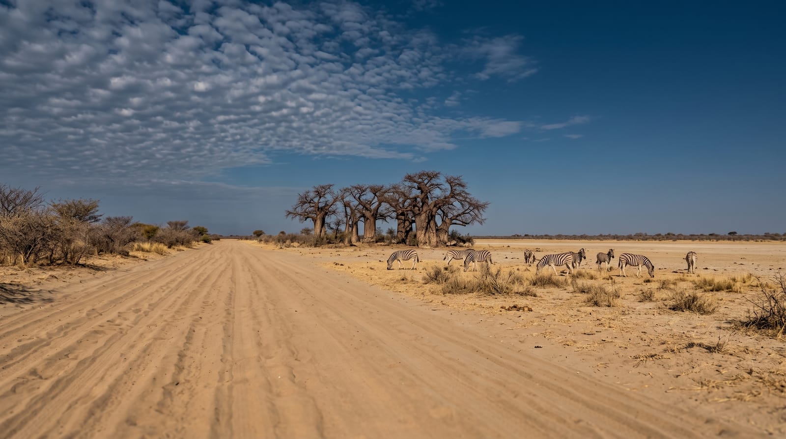 Nxai Pan and Baines' Baobabs