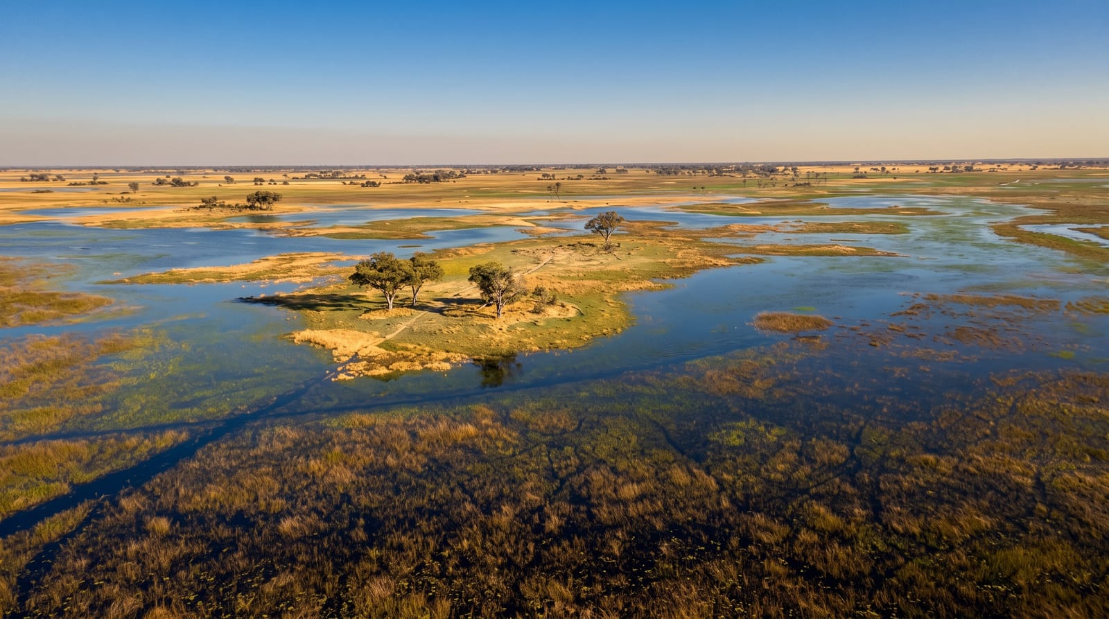 The Okavango Delta