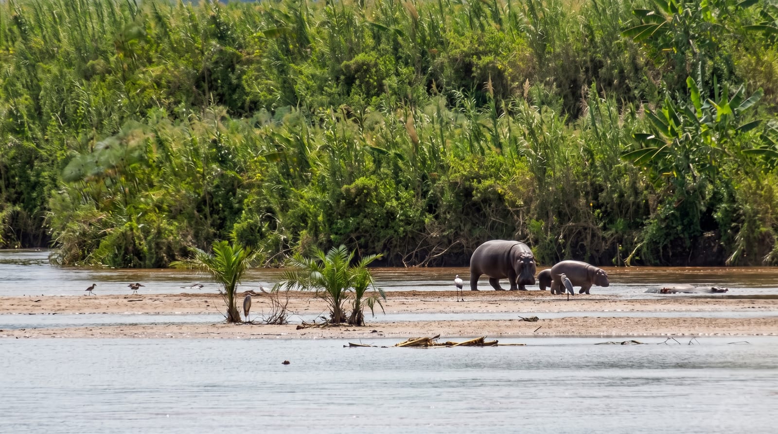 Rusizi National Park