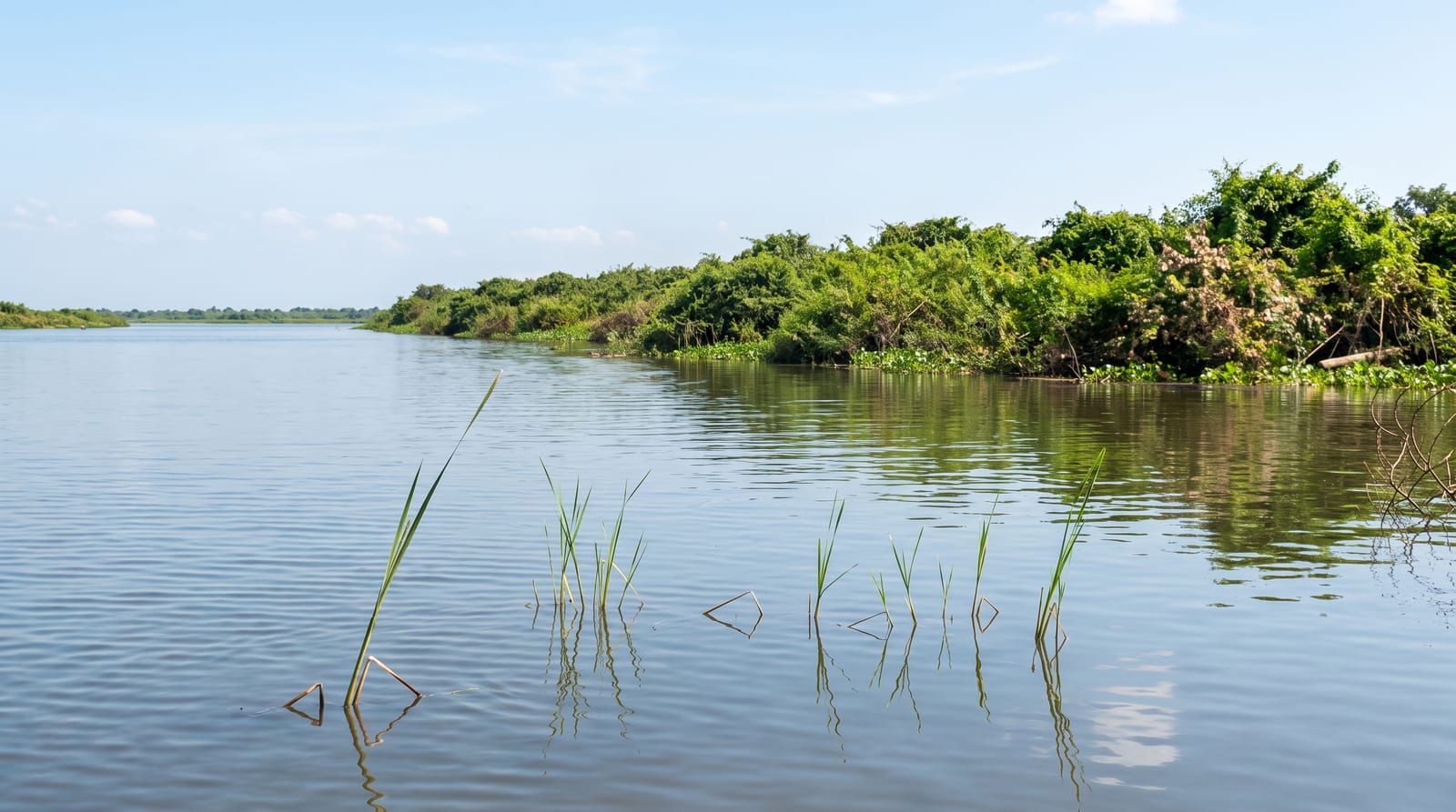 Tonle Sap Lake