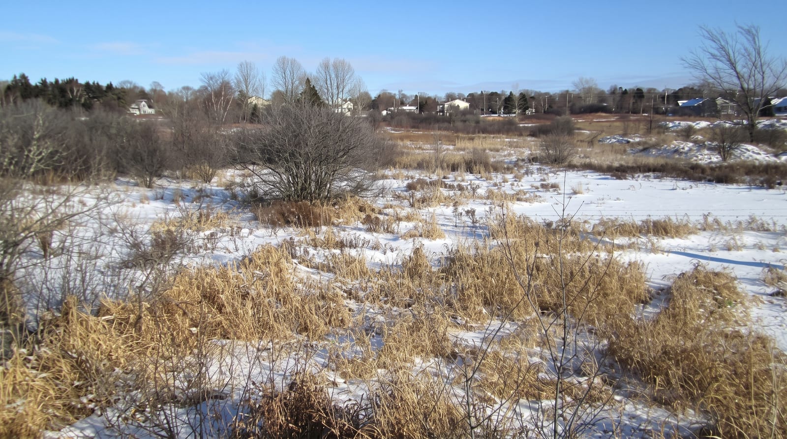 Confederation Trail
