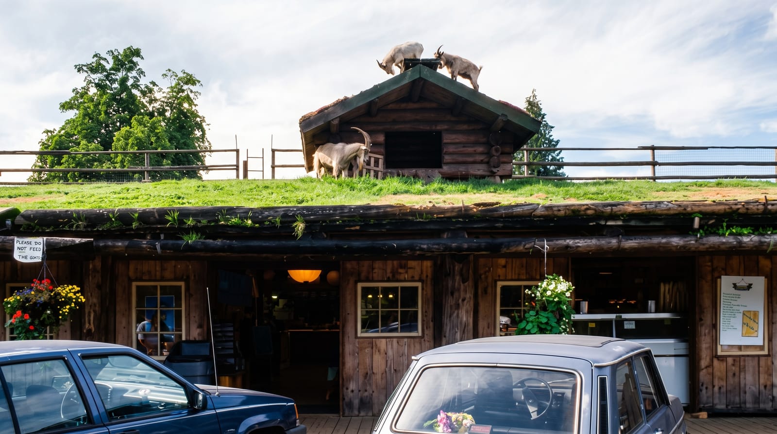 Coombs Old Country Market