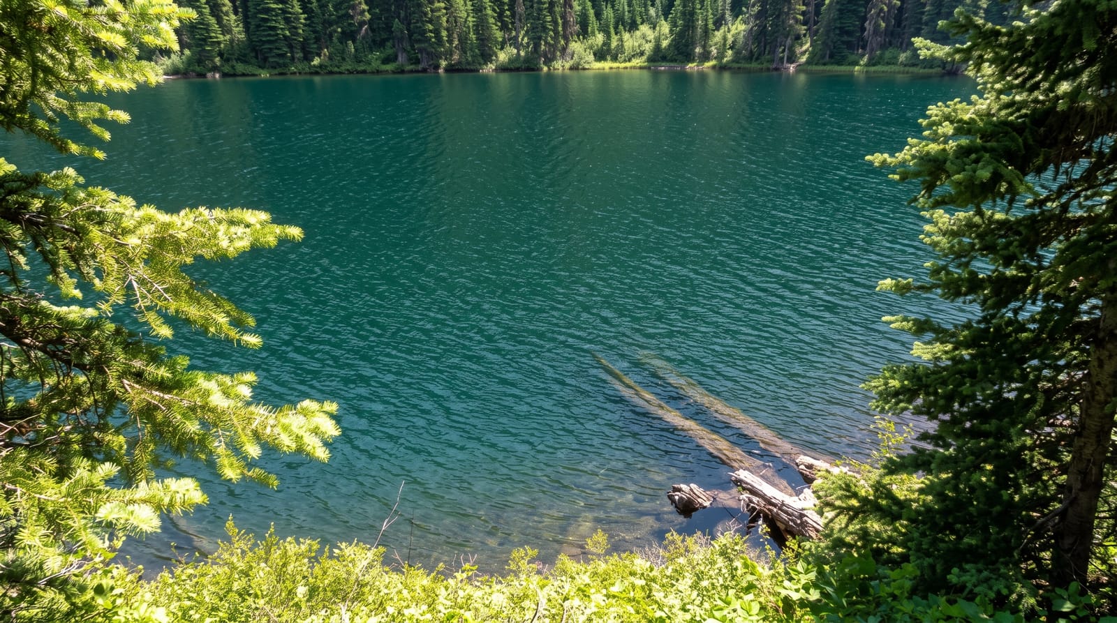 E.C. Manning Provincial Park