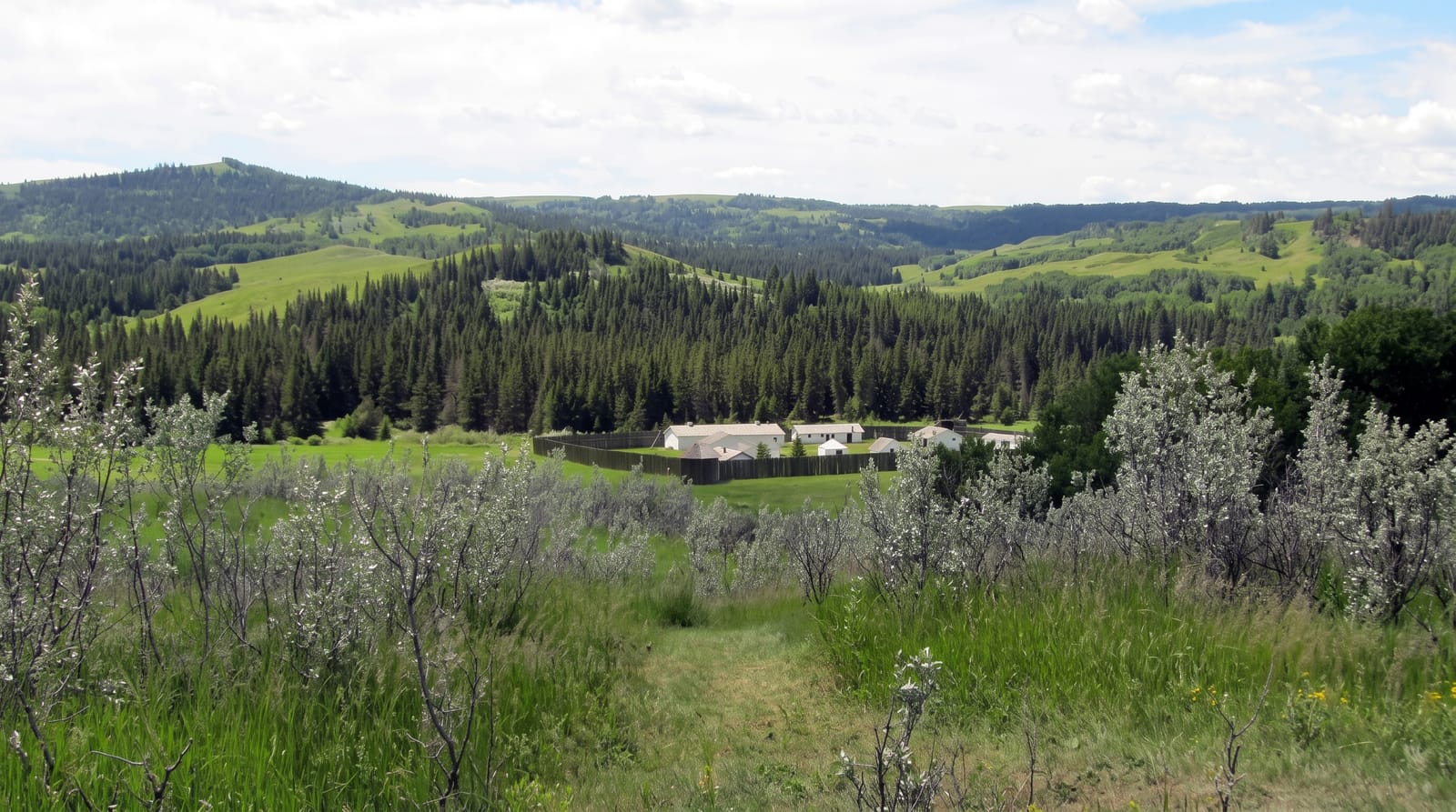 Fort Walsh