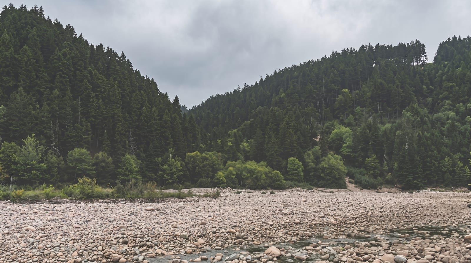 Fundy Trail Parkway