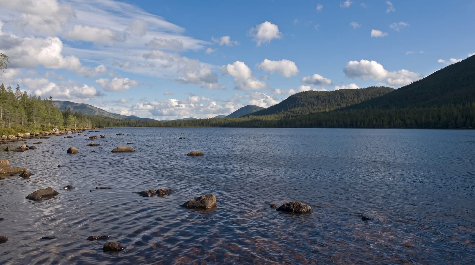 Gaspésie National Park